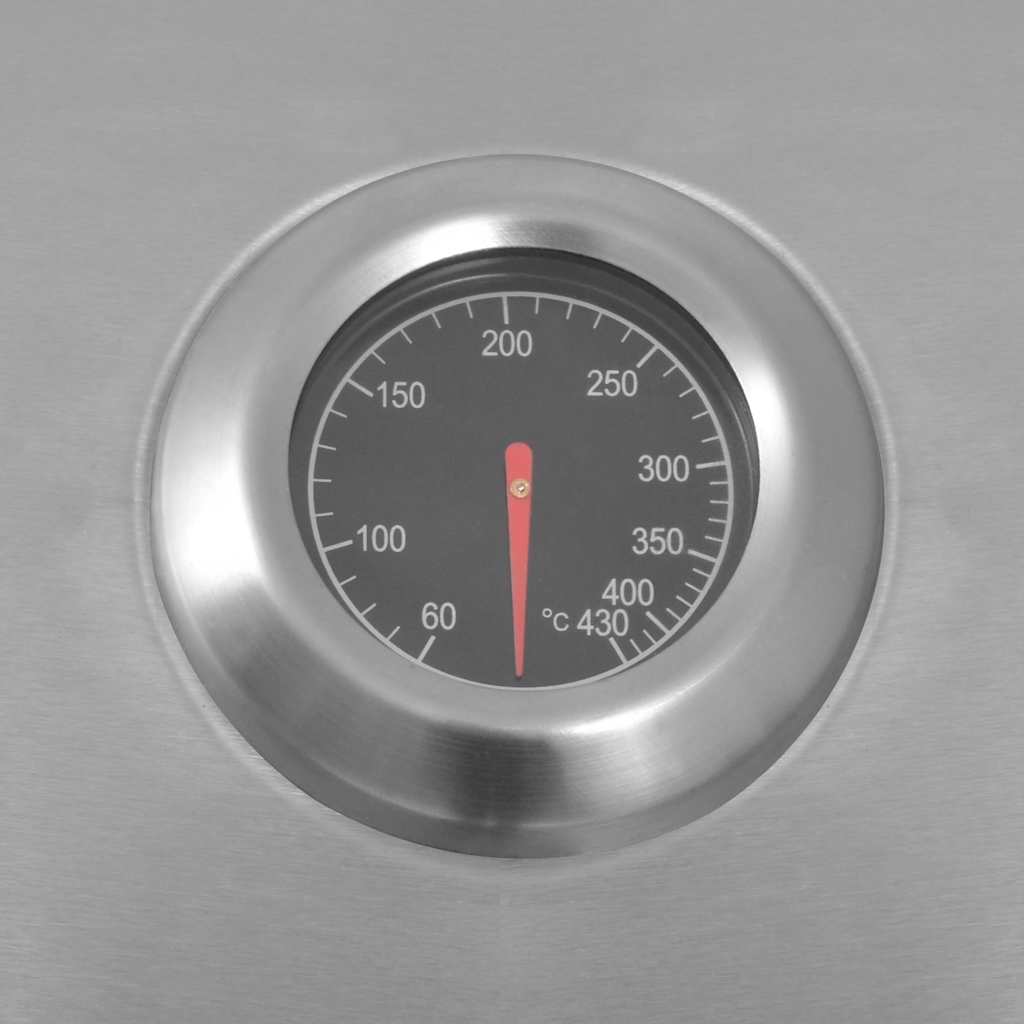 Gasgrill 4+1 Flammen Schwarz und Silbern