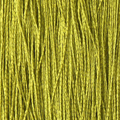 Fadenvorhänge 2 Stk. 100 x 250 cm Grün