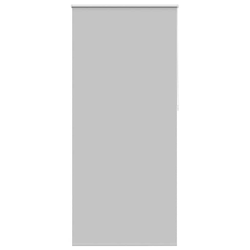 Verdunkelungsrollo 80 x 230 cm grau