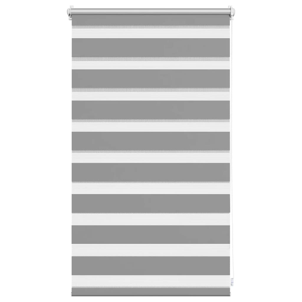 Doppelrollo 50 x 100 cm grau