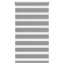 Doppelrollo 50 x 100 cm grau