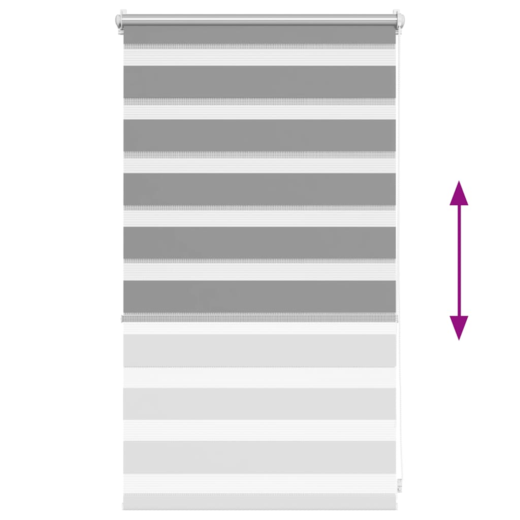 Doppelrollo 50 x 100 cm grau