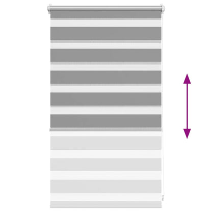 Doppelrollo 50 x 100 cm grau
