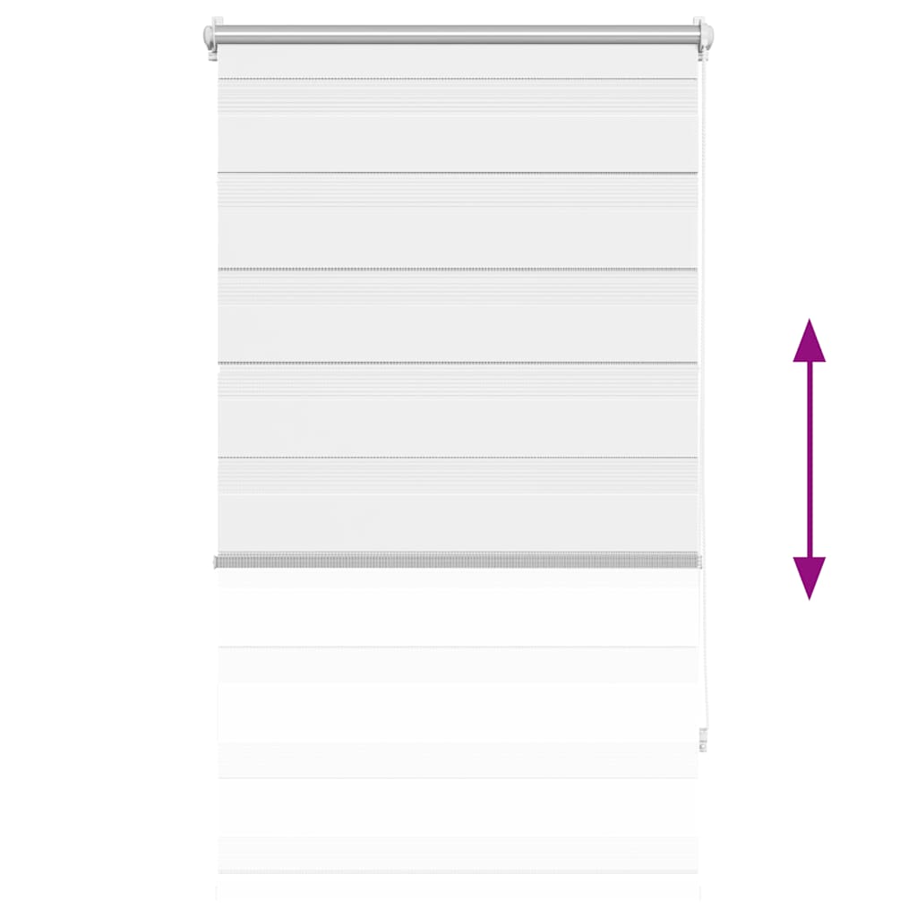 Doppelrollo 70 x 120 cm