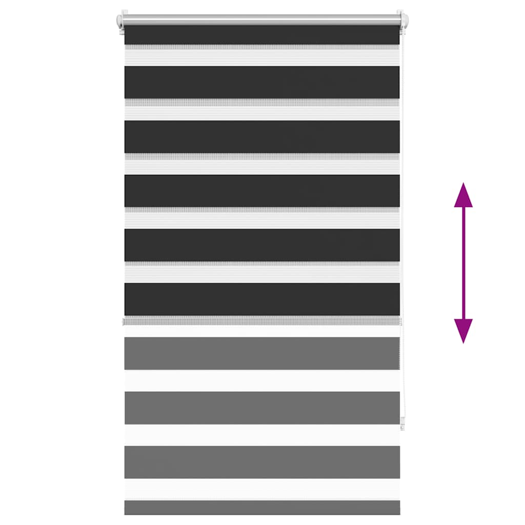 Doppelrollo Seitenzug Schwarz 70 x 120 cm
