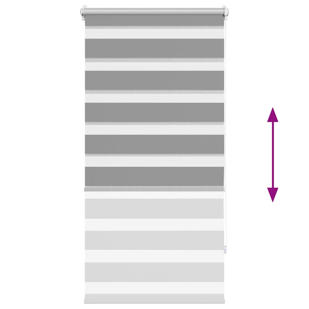 Doppelrollo Seitenzug 80 x 150 cm grau