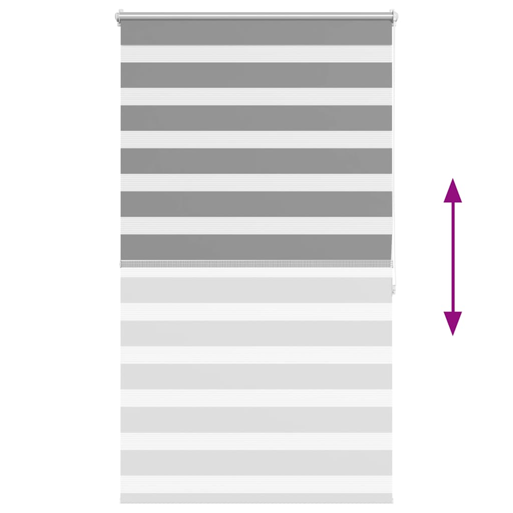 Doppelrollo Seitenzug Duo Rollo  80 x 175 cm grau