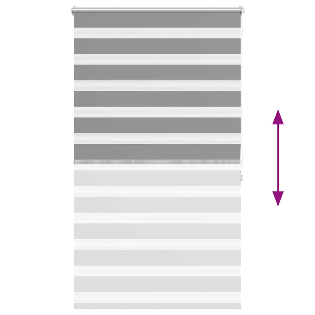 Doppelrollo Seitenzug 100 x 175 cm grau