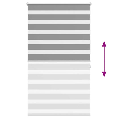Doppelrollo Seitenzug 100 x 175 cm grau