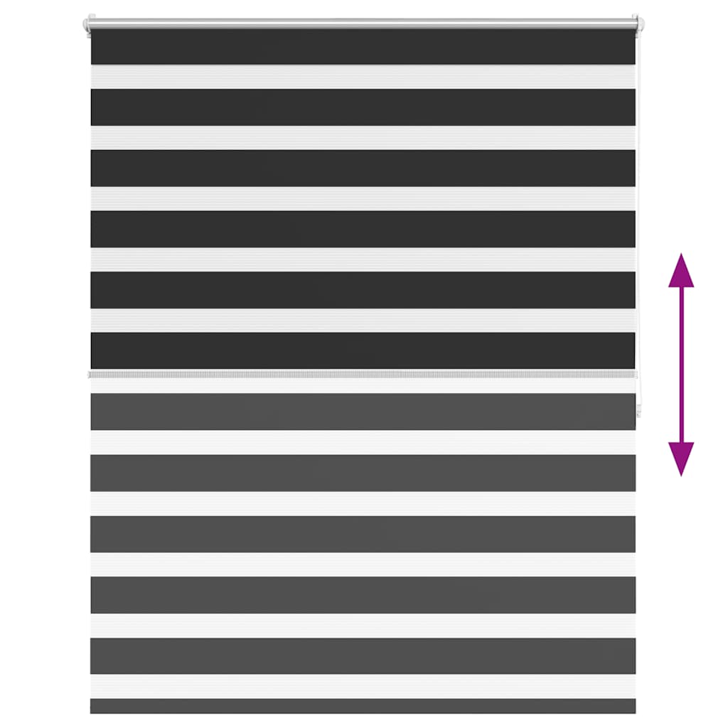 Doppelrollo Seitenzug 120 x 175 cm schwarz