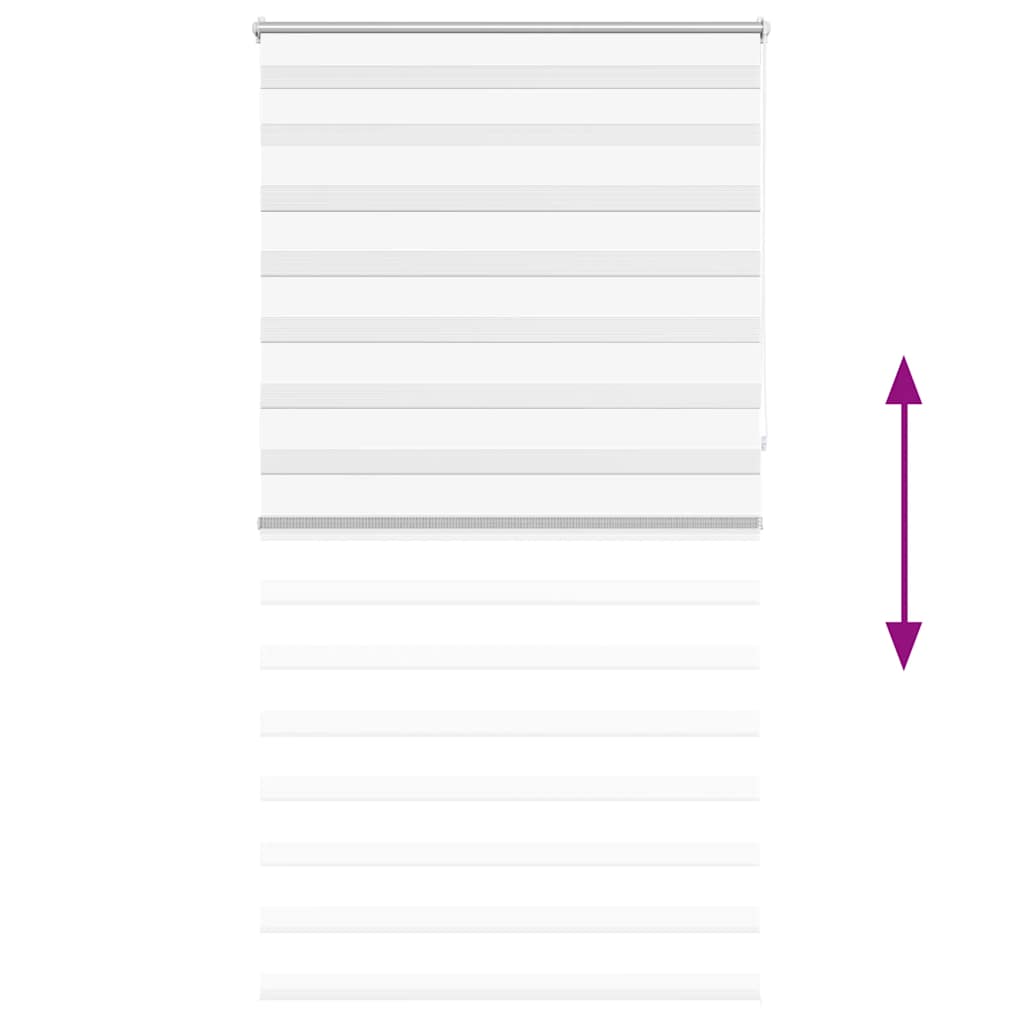 Doppelrollo Seitenzug Duo 120 x 230 cm