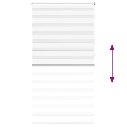 Doppelrollo Seitenzug Duo 120 x 230 cm