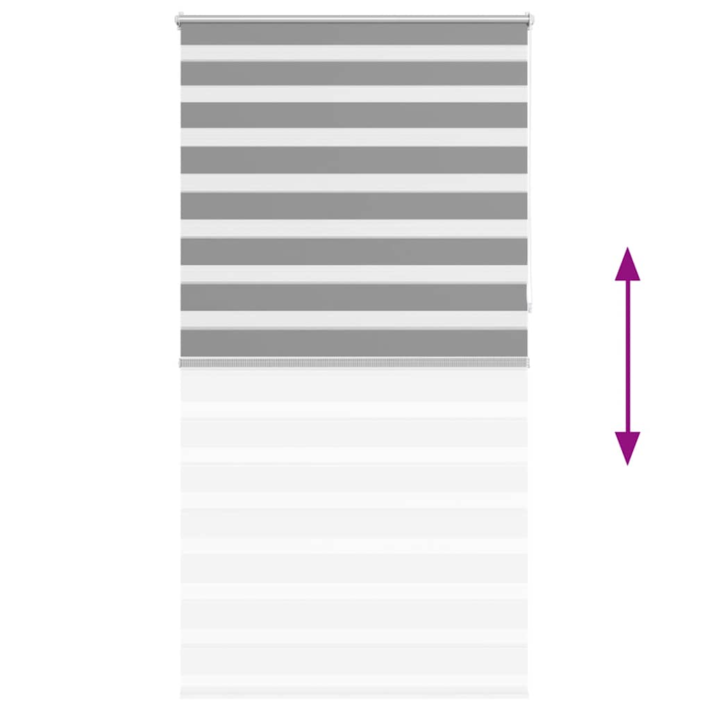 Doppelrollo 120 x 230 cm grau
