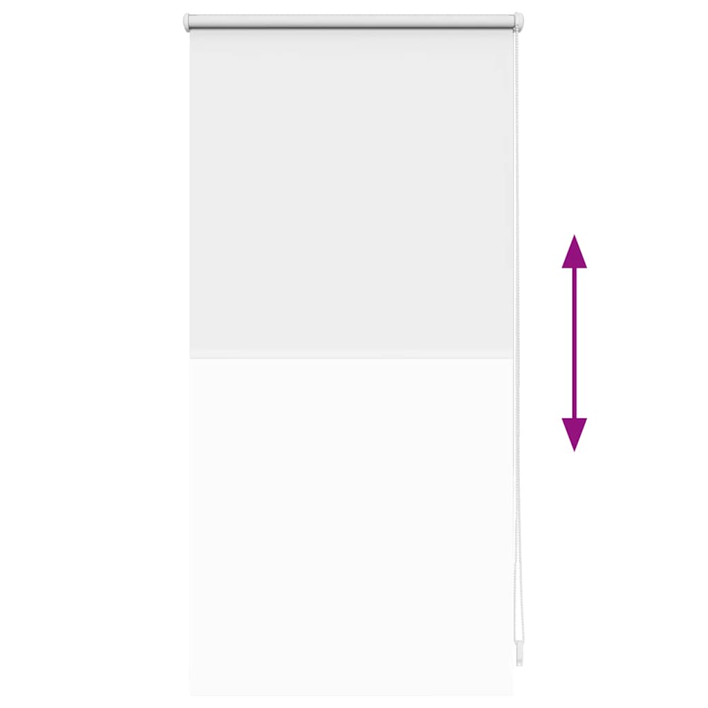 Verdunklungsrollo Verdunkelungsrollo 40 x 100 Creme