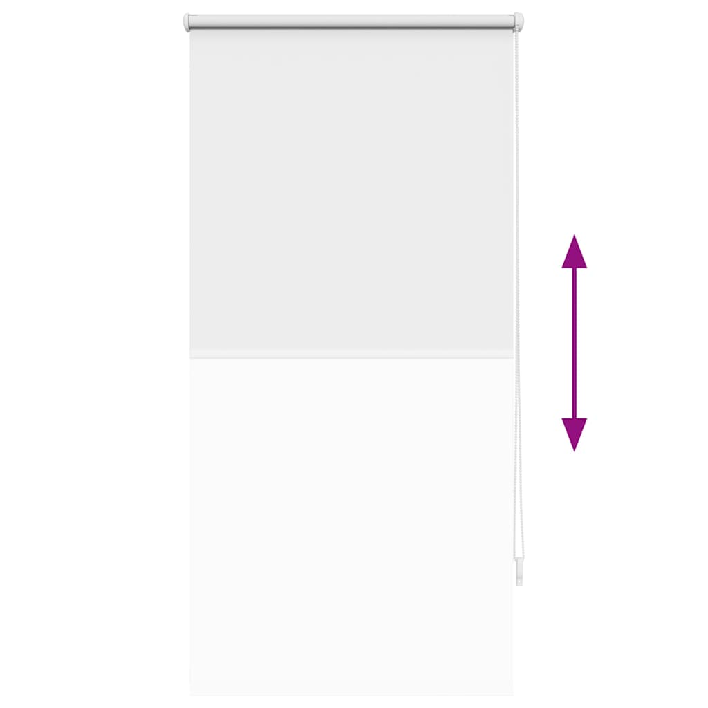 Verdunklungsrollo Verdunkelungsrollo Rollo 60x120 weiß