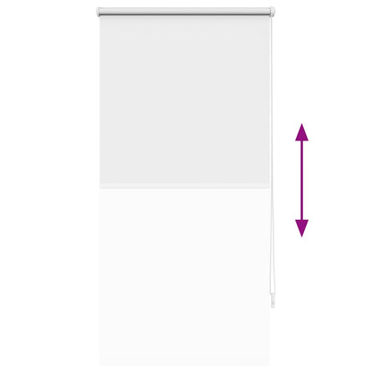 Verdunklungsrollo Verdunkelungsrollo Rollo 60x120 weiß