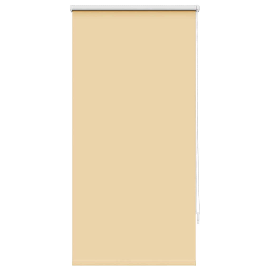 Verdunklungsrollo Verdunkelungsrollo Rollo 60x120 Beige