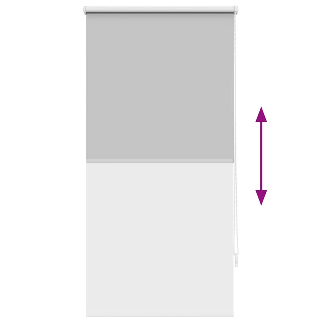 Verdunklungsrollo Verdunkelungsrollo Rollo 60x120 grau