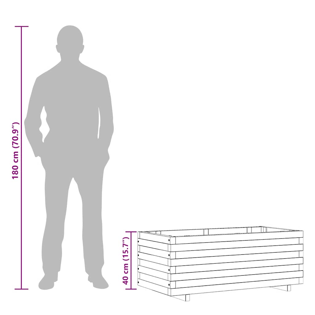 Hochbeet 100x50x40 cm Holz Rechteckig