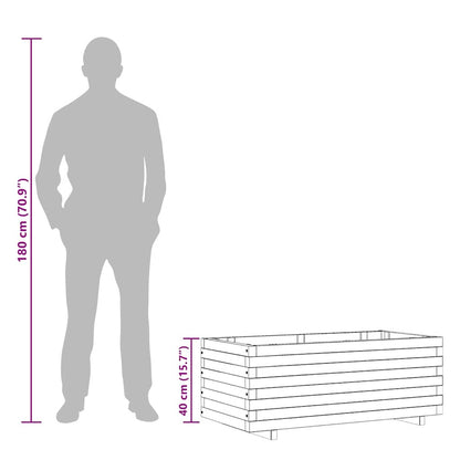 Hochbeet 100x50x40 cm Holz Rechteckig