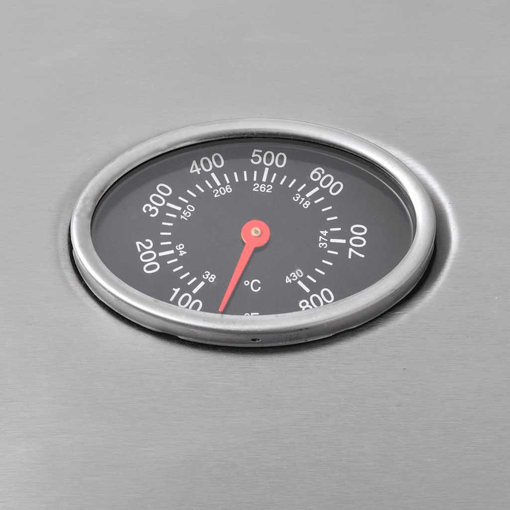 Gasgrill 4+1 Flammen Silbern