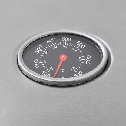 Gasgrill 4+1 Flammen Silbern