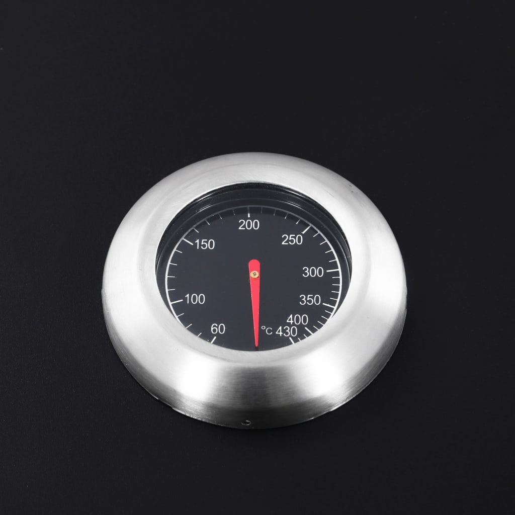 Gas- und Holzkohle-Grill mit 2 Brennern