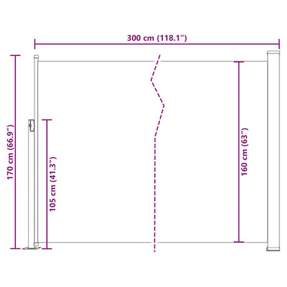 Ausziehbare Seitenmarkise 170×300 cm Schwarz
