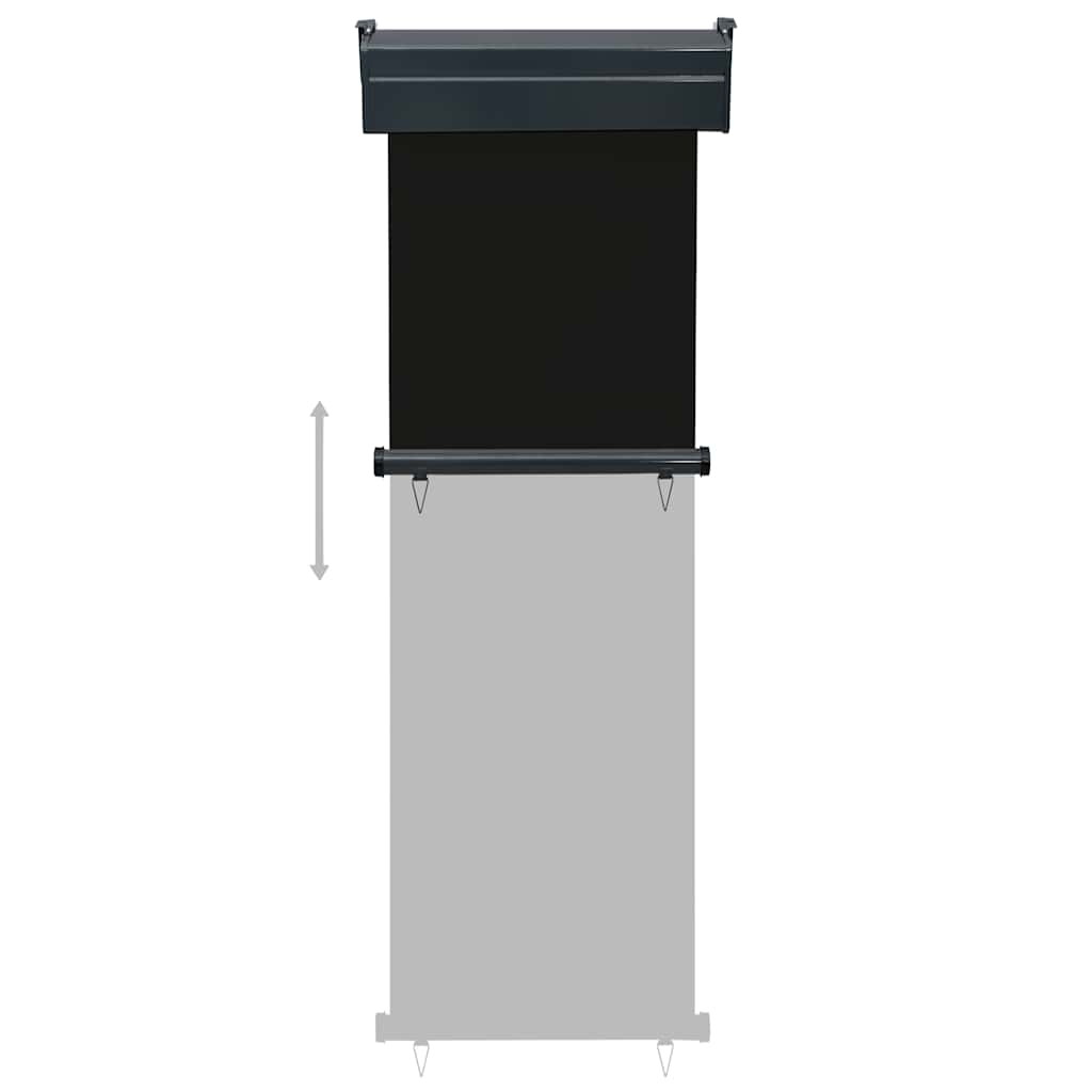 Balkon-Seitenmarkise 65x250 cm Schwarz