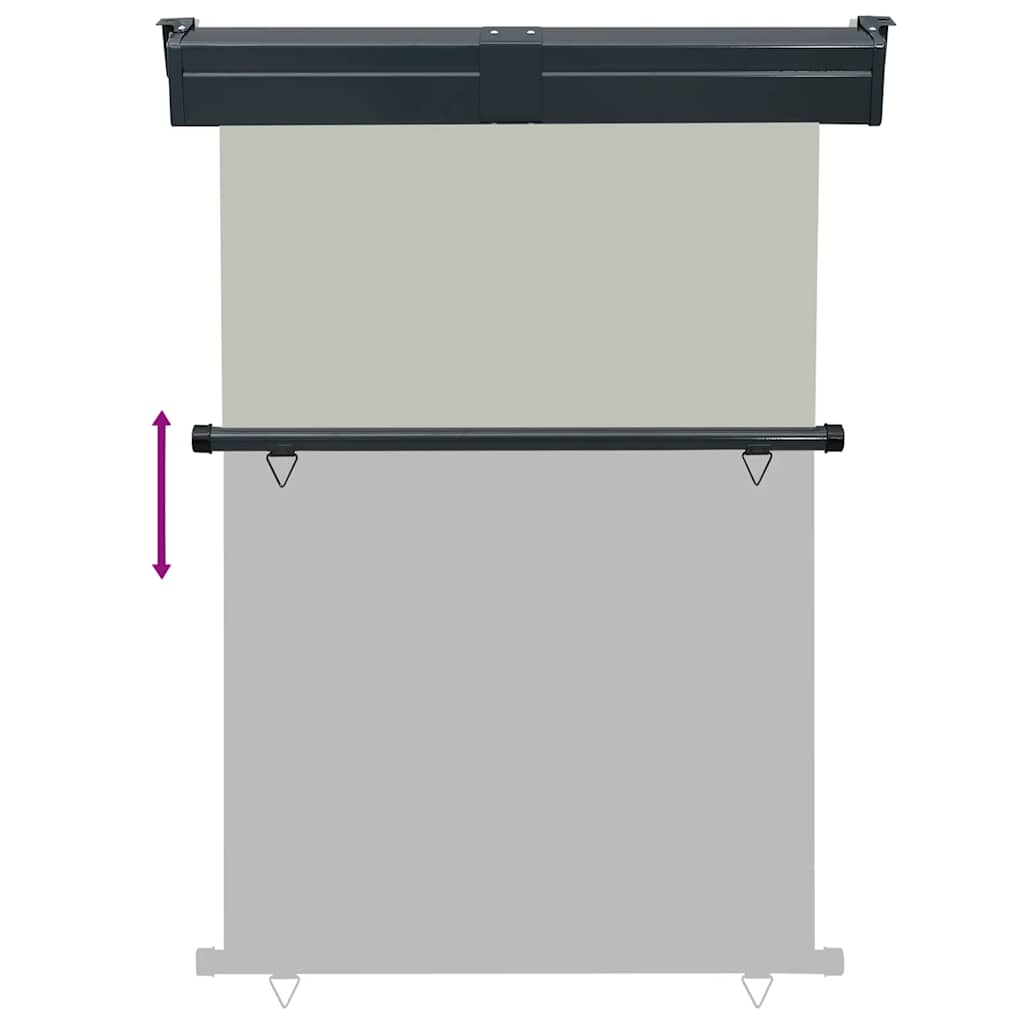 Balkon-Seitenmarkise 125x250 cm Grau