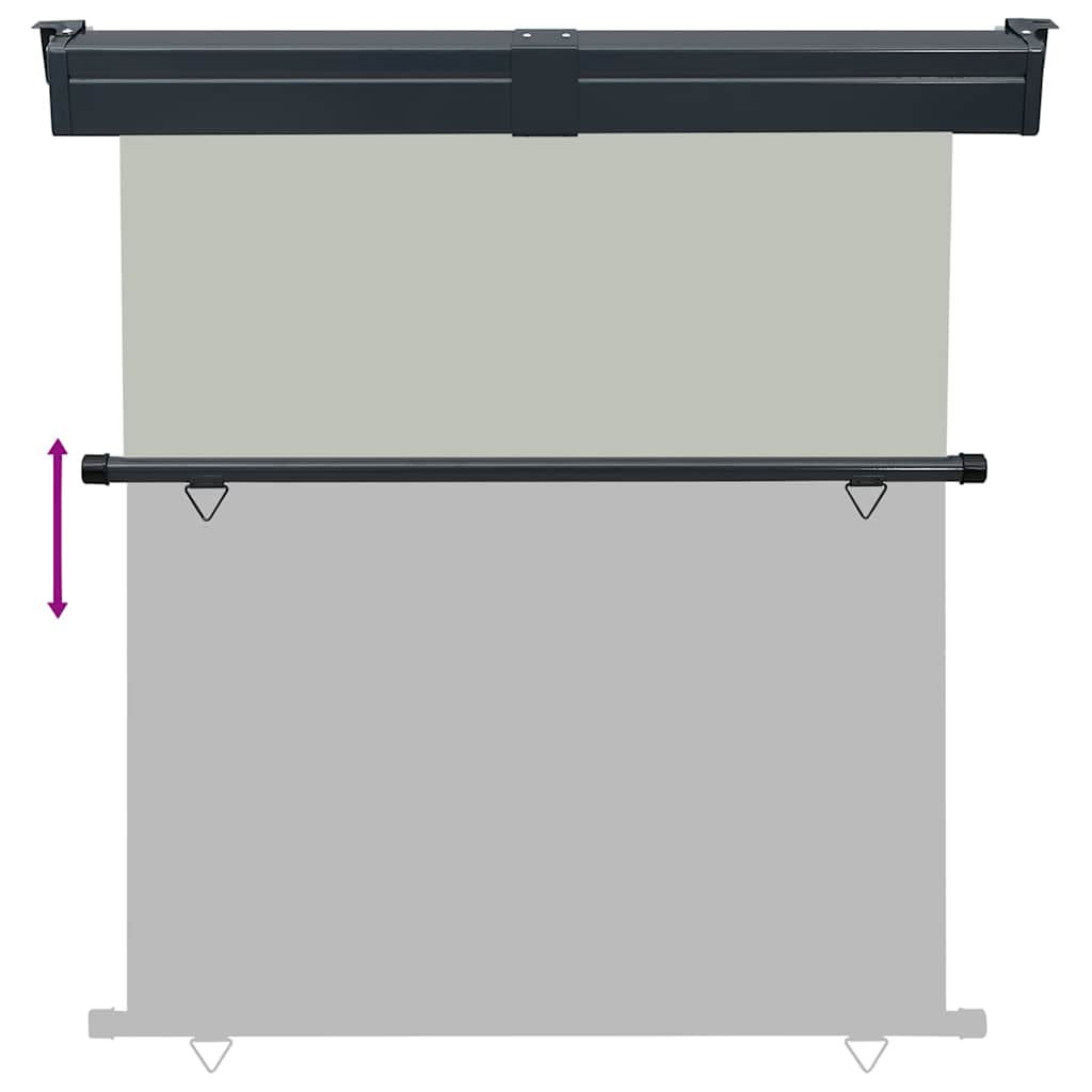 Balkon-Seitenmarkise 165x250 cm Grau