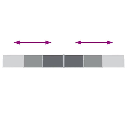 Ausziehbare Seitenmarkise Anthrazit 120 x 1000 cm