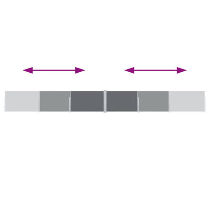 Ausziehbare Seitenmarkise Anthrazit 140 x 1000 cm