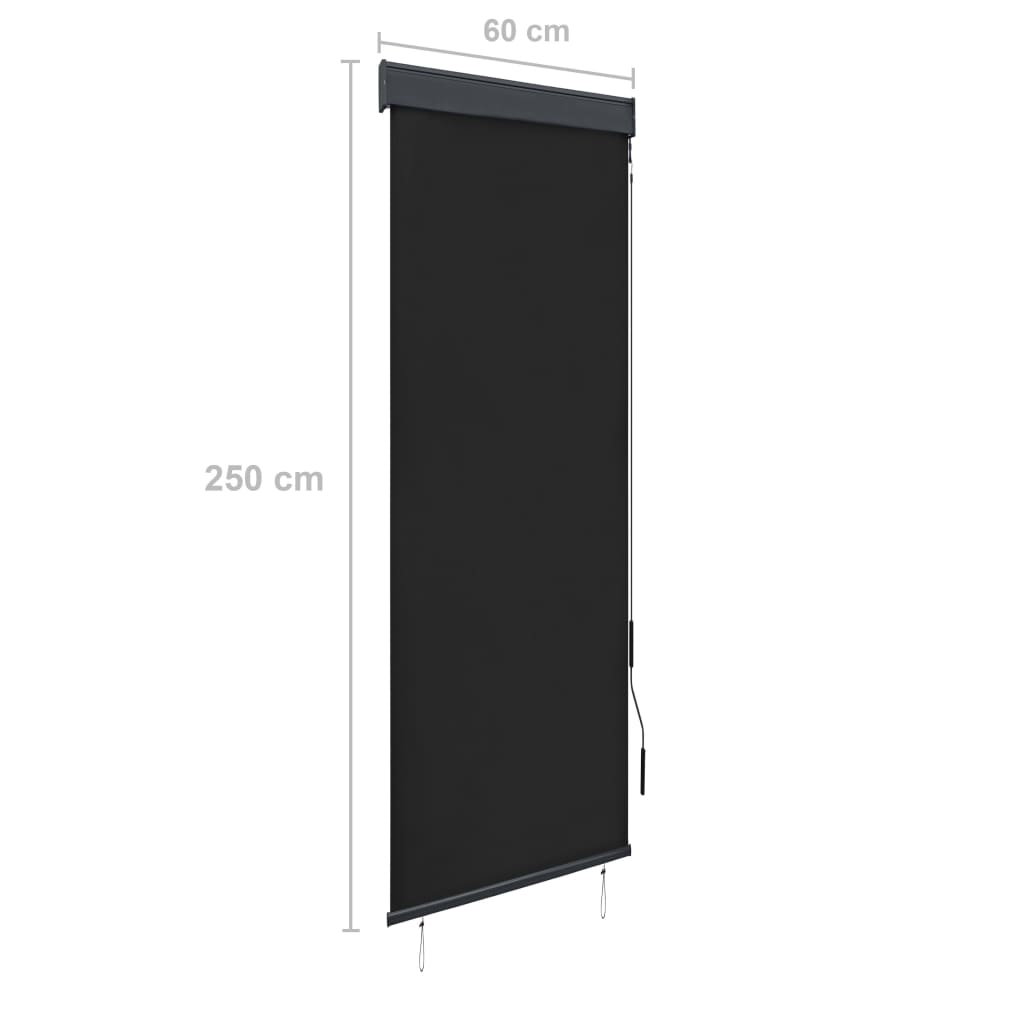 Außenrollo 60 x 250 cm Anthrazit