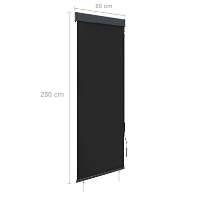 Außenrollo 60 x 250 cm Anthrazit