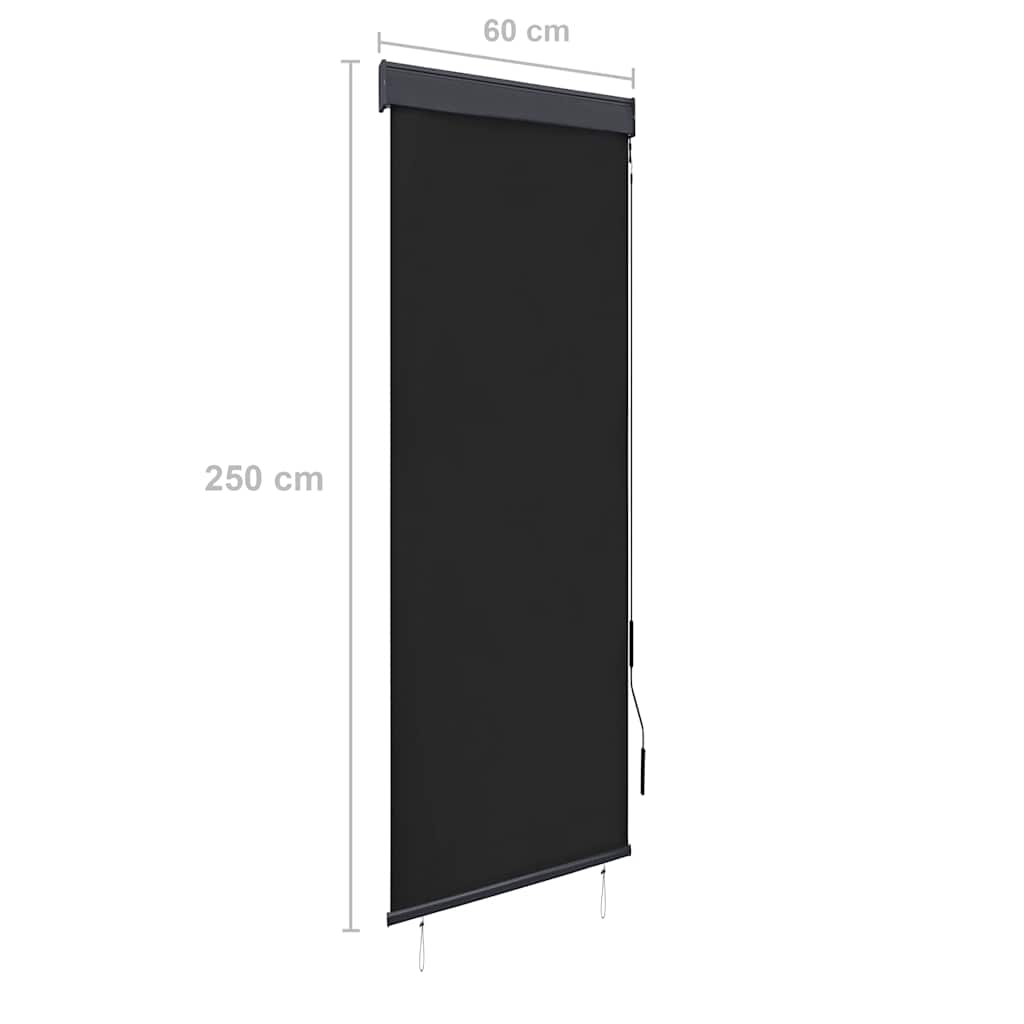 Außenrollo 60 x 250 cm Anthrazit