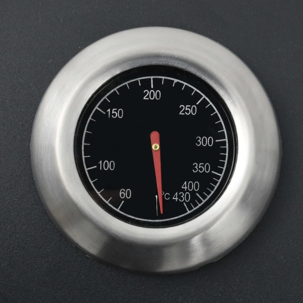 Gasgrill 4+1 Flammen Schwarz Stahl