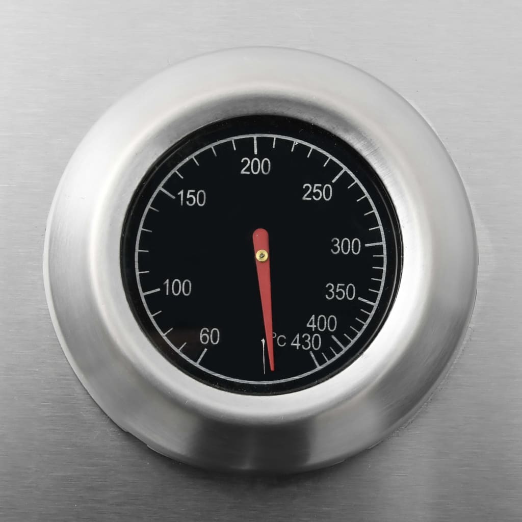 Gasgrill 4+1 Flammen Schwarz und Silbern Stahl & Edelstahl