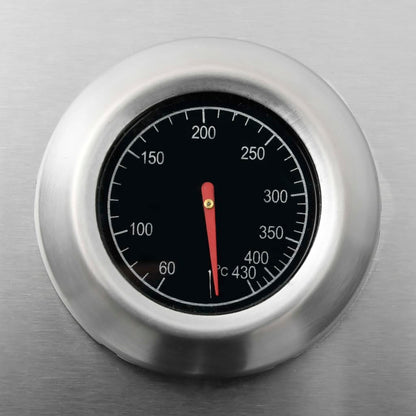 Gasgrill 4+1 Flammen Schwarz und Silbern Stahl & Edelstahl