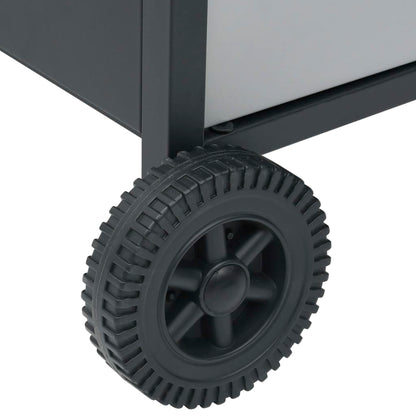 Gasgrill 4+1 Flammen Schwarz und Silbern Stahl & Edelstahl