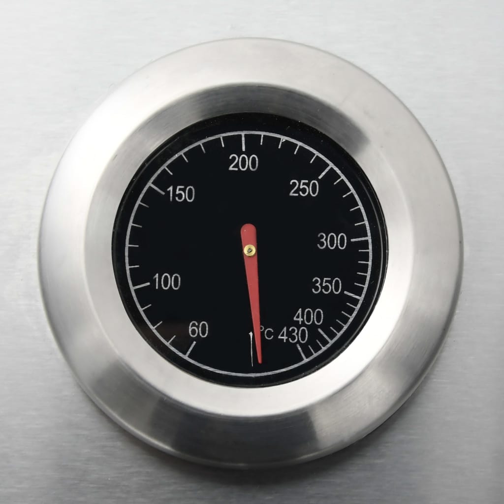 Gasgrill 4+1 Flammen Silbern Edelstahl