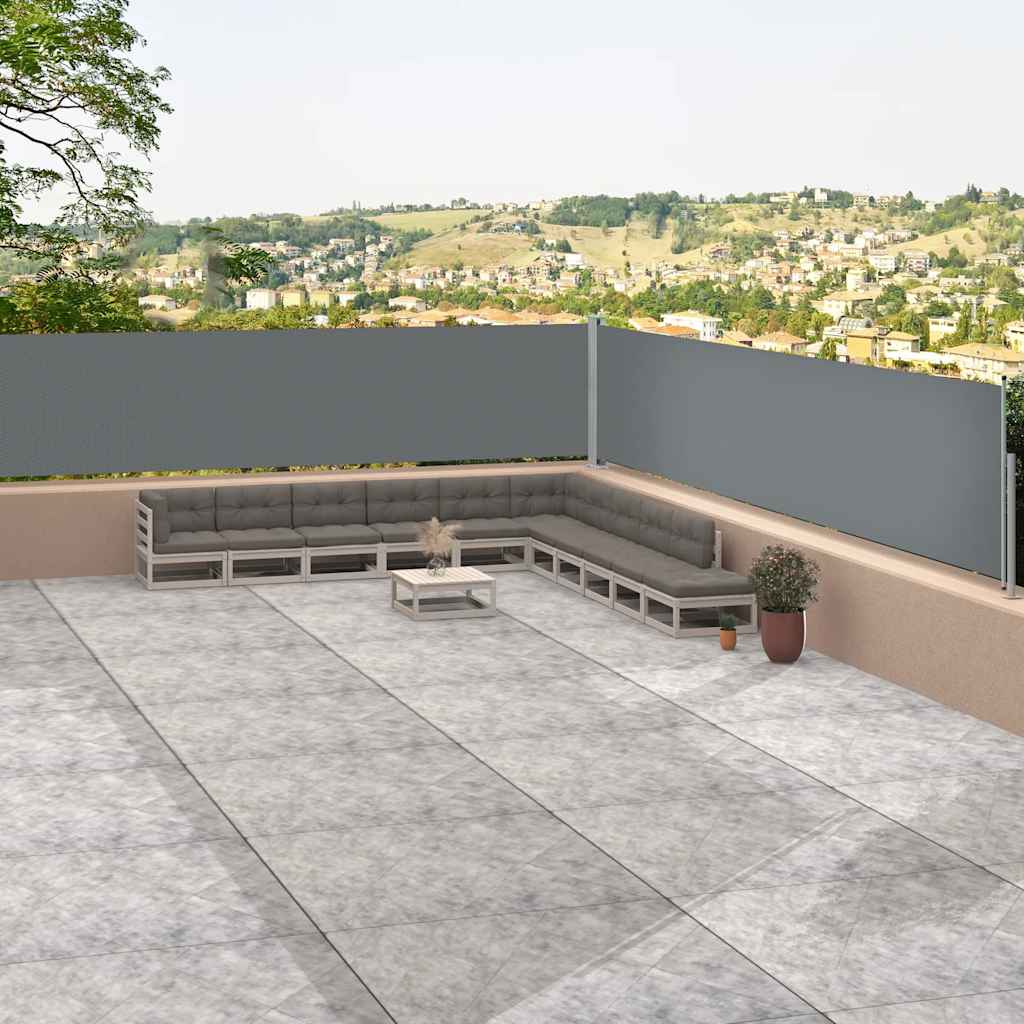 Seitenmarkise Ausziehbar Anthrazit 117x1200 cm