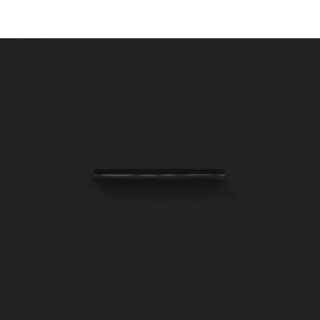 Schuhschrank Schwarz 30x35x105 cm Holzwerkstoff