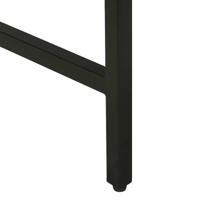 Konsolentisch mit Tür Braun 100 x 35 x 70 cm massives Mangoholz