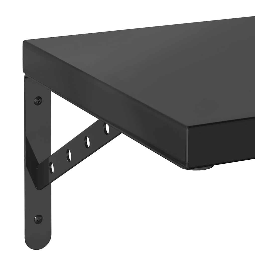 Wandregale 2 Stk. 100x30 cm Schwarz Edelstahl