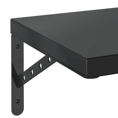 Wandregale 2 Stk. 100x30 cm Schwarz Edelstahl