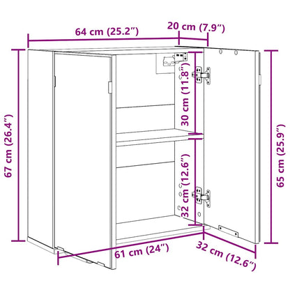 Badezimmerspiegelschrank Schwarz Eichen-Optik 64 x 20 x 67 cm