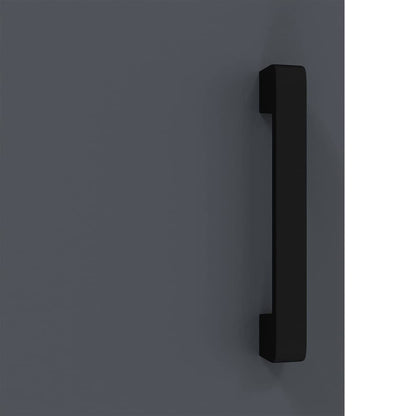 Küchenlagerregal mit Regal mit Speicher mit Tür Anthrazit Stahl